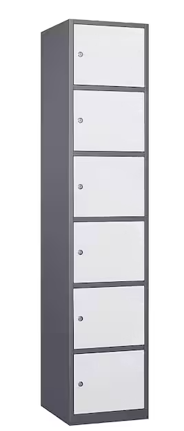 6 Door/Tier Locker